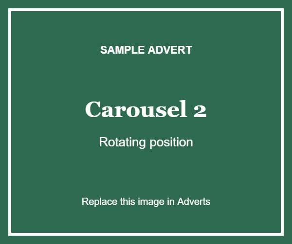 Sample Advert – Carousel 2